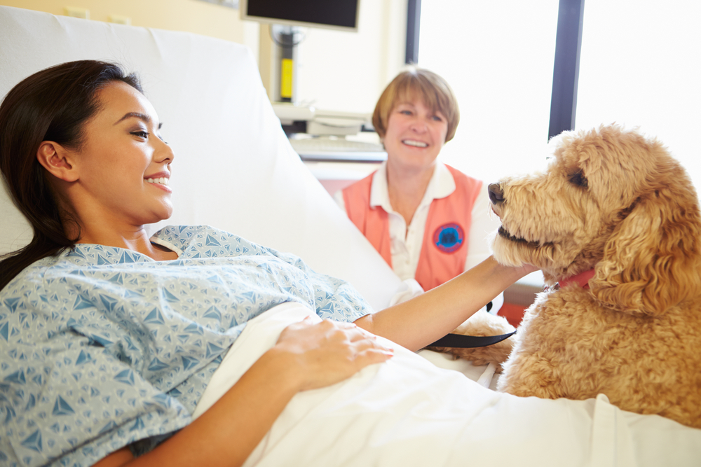 Amazing Hospital Program Lets Pets Visit Their Terminally Ill Owners