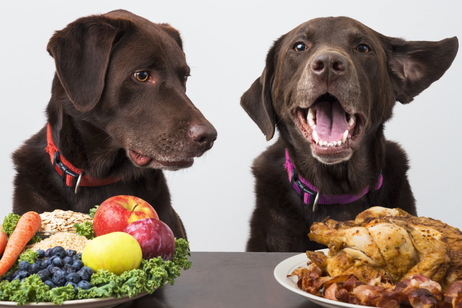 According To FDA, Dog Heart Disease May Be Linked To GrainFree Food