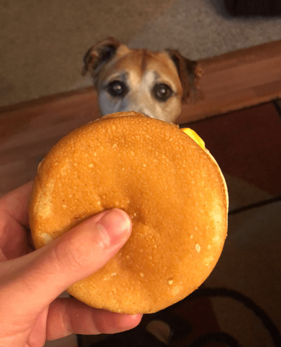 dogandcheeseburger Goodfullness