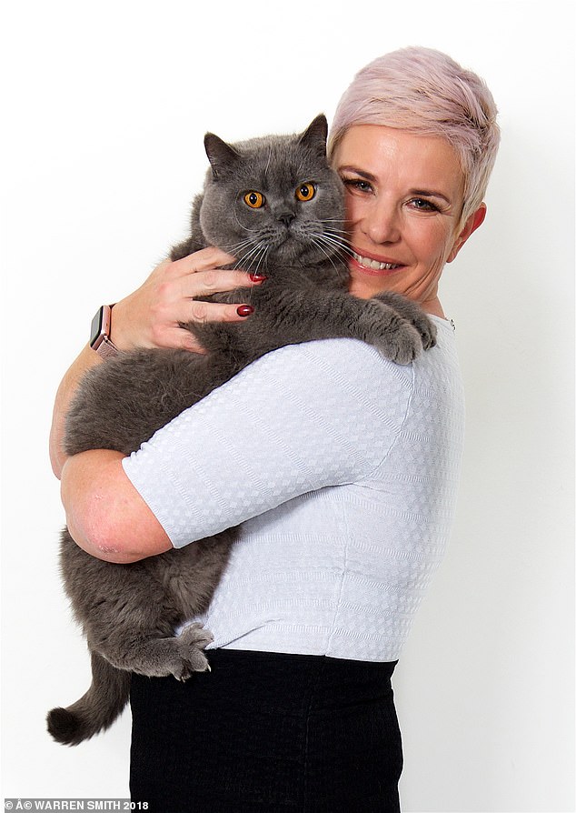 Are British Shorthair Cats Big British Shorthair