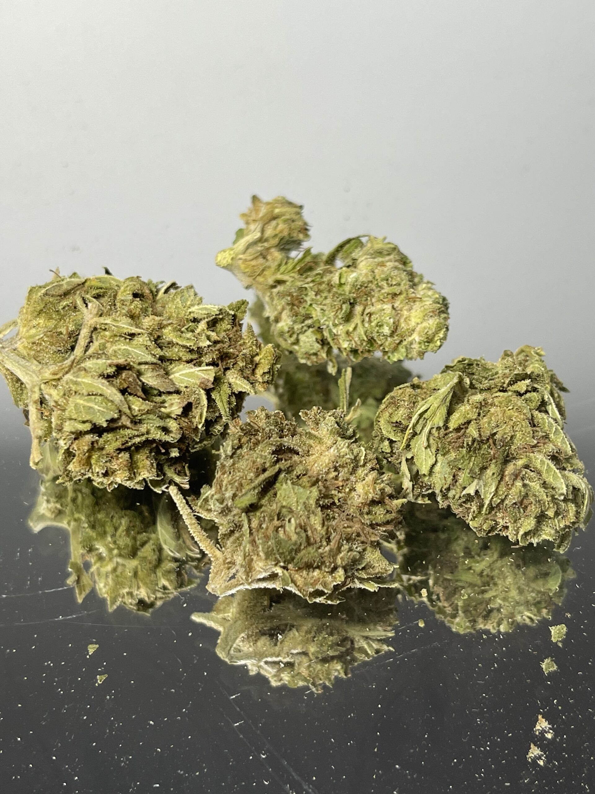TANGERINE DREAM Budget Weed(small frosty nugs) Good Giggles Delivery