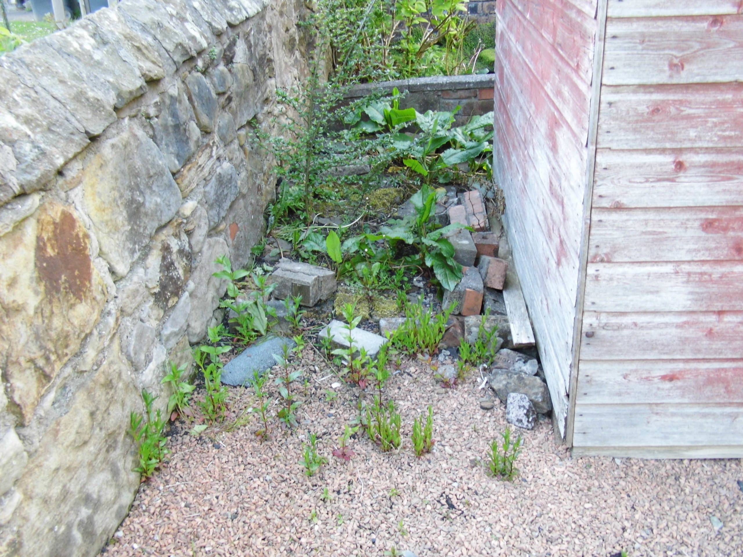 How to Prevent & Kill Weeds on Gravel Driveways