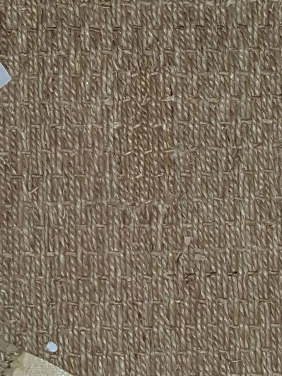 Local Carpet Cleaning Experts Good Guy Carpet Cleaners