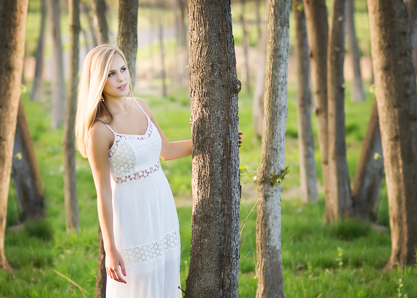 How to Take A Forest Bath (and why it's a good idea)