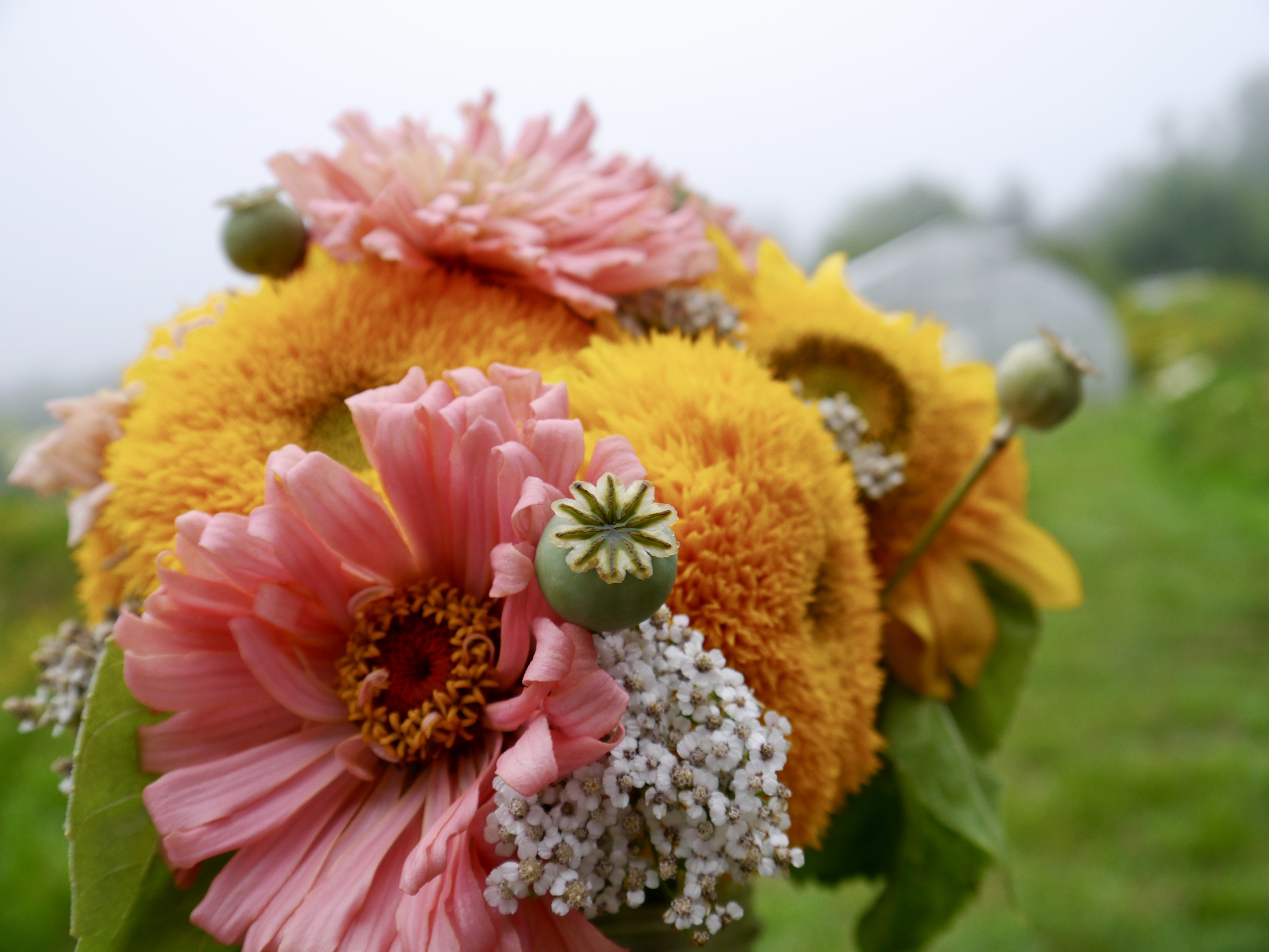 organic flower bouquet