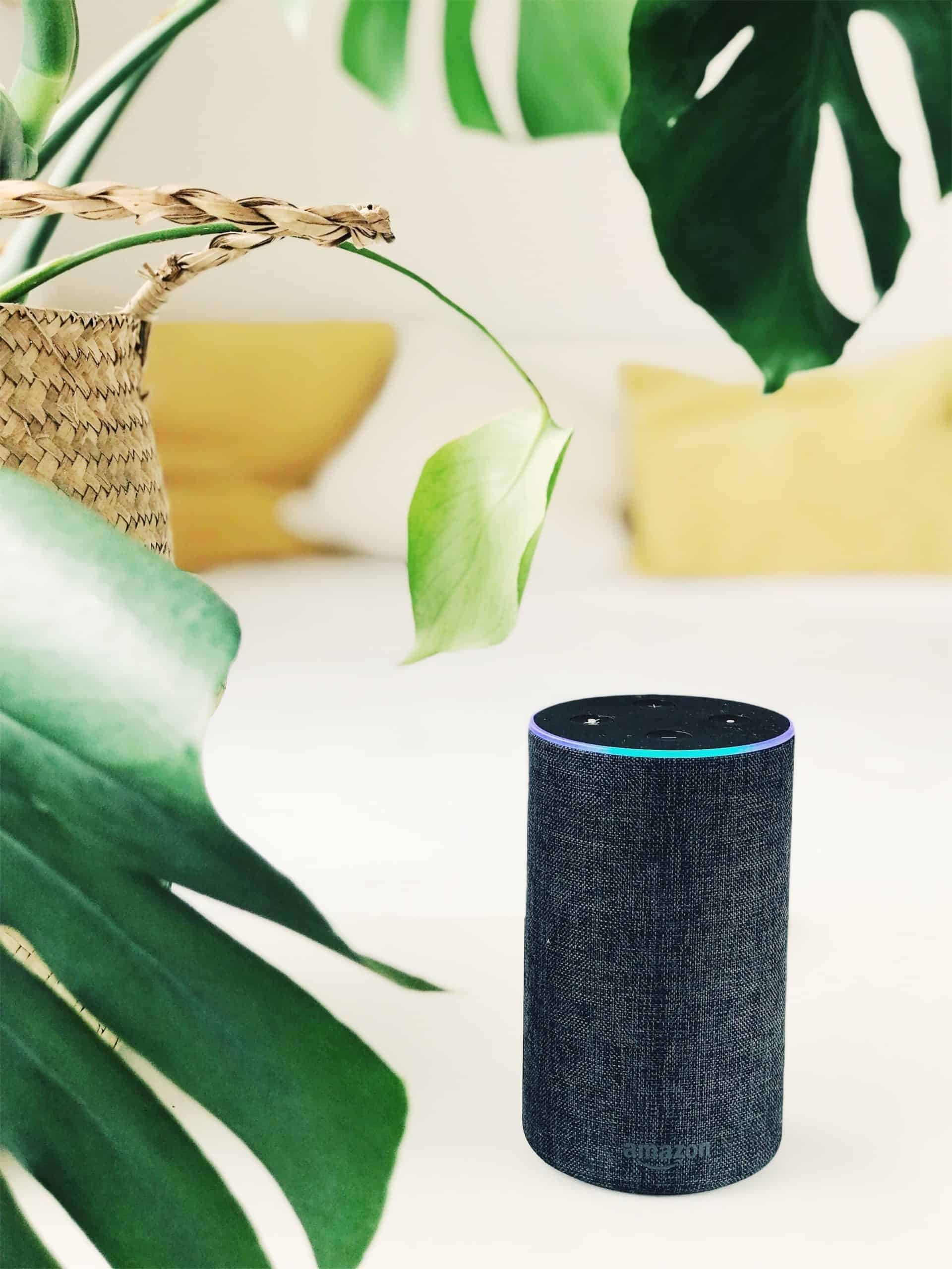 How Much Bandwidth Does Alexa Use? (HINT Watch Out for Music!)