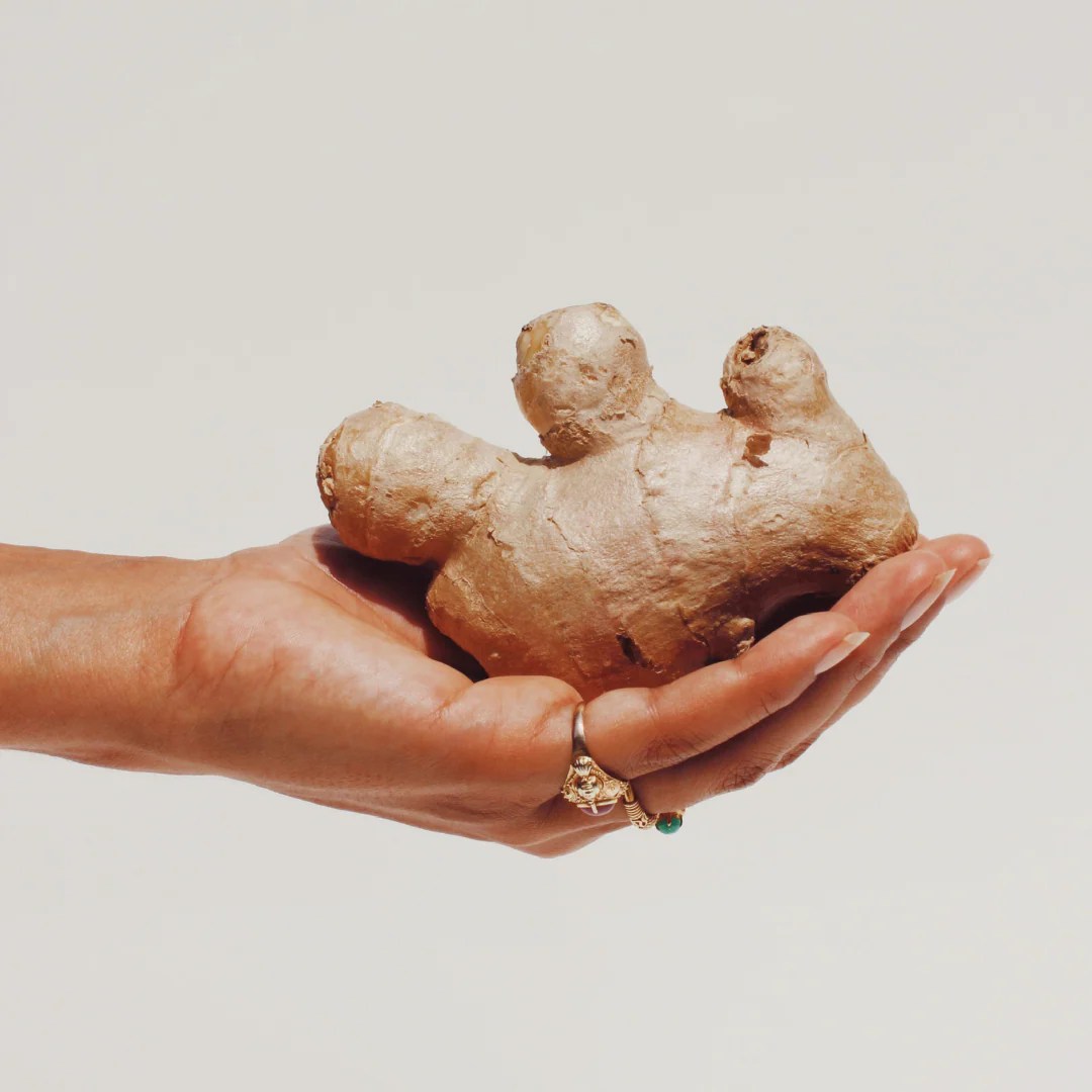 Wat is gember? Waar is gember goed voor? Good Jamu