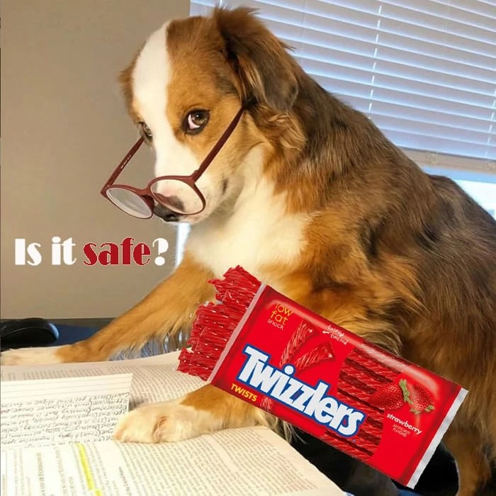 Can Dogs Eat Twizzlers? [Risk Alert Must See]