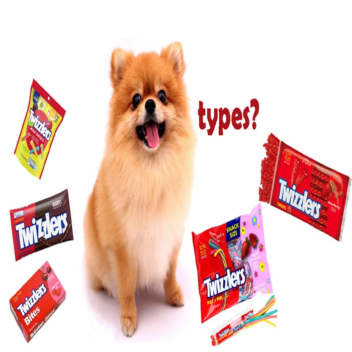 Can Dogs Eat Twizzlers? [Risk Alert Must See]
