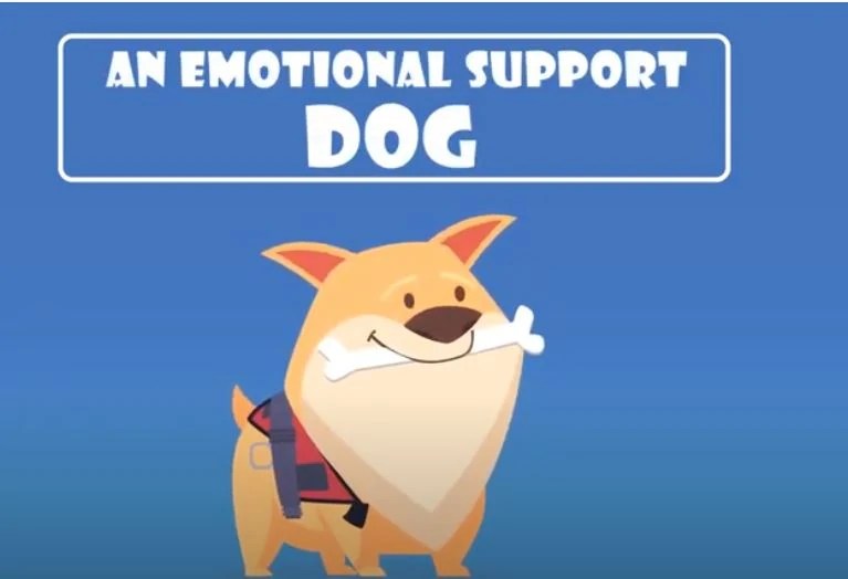 Emotional Support Dog Training [Things you must know]
