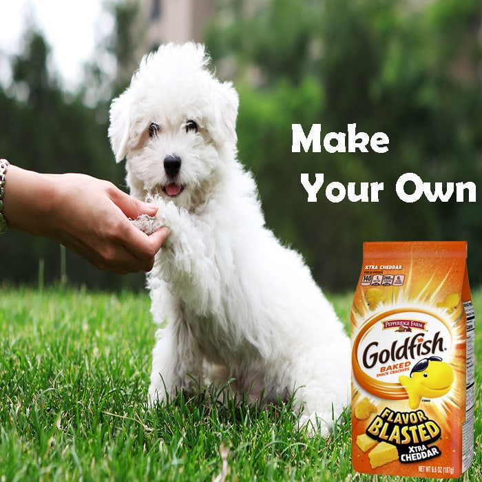 Can Dogs Eat Goldfish Crackers? [be cautious]