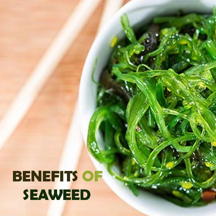 Can Dogs Eat Seaweed? [Pros & Cons feeding them]