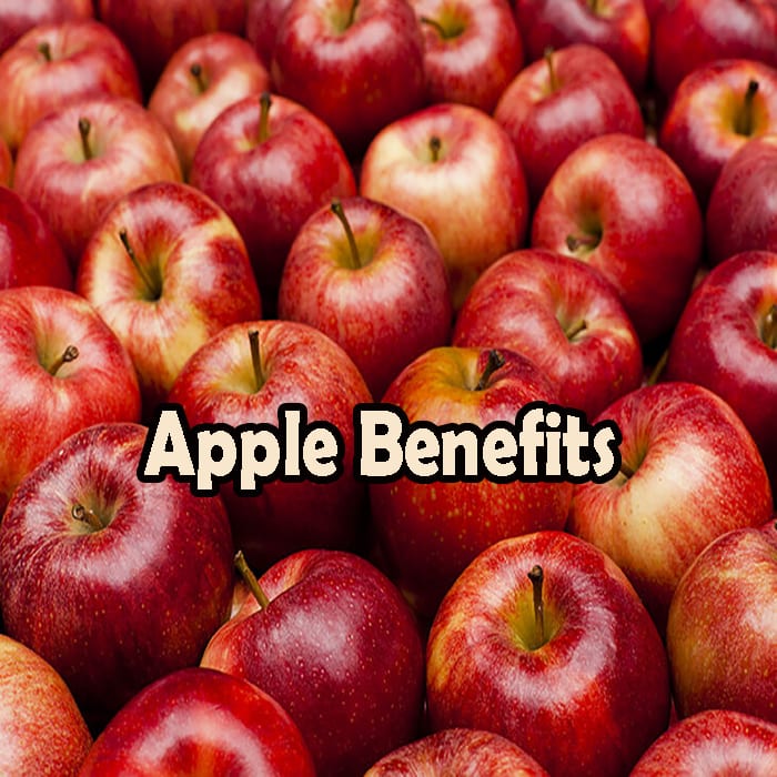 Are Apple Skins Bad For Dogs