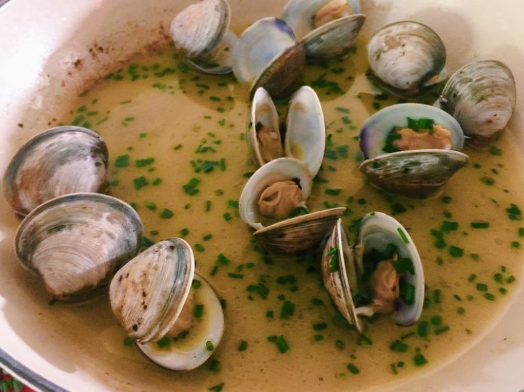 Can Dogs Eat Clams? [Risk Alert Must read before feed]