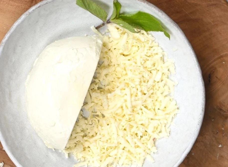 Can Dogs Eat Mozzarella Cheese? [Interesting Stuff]