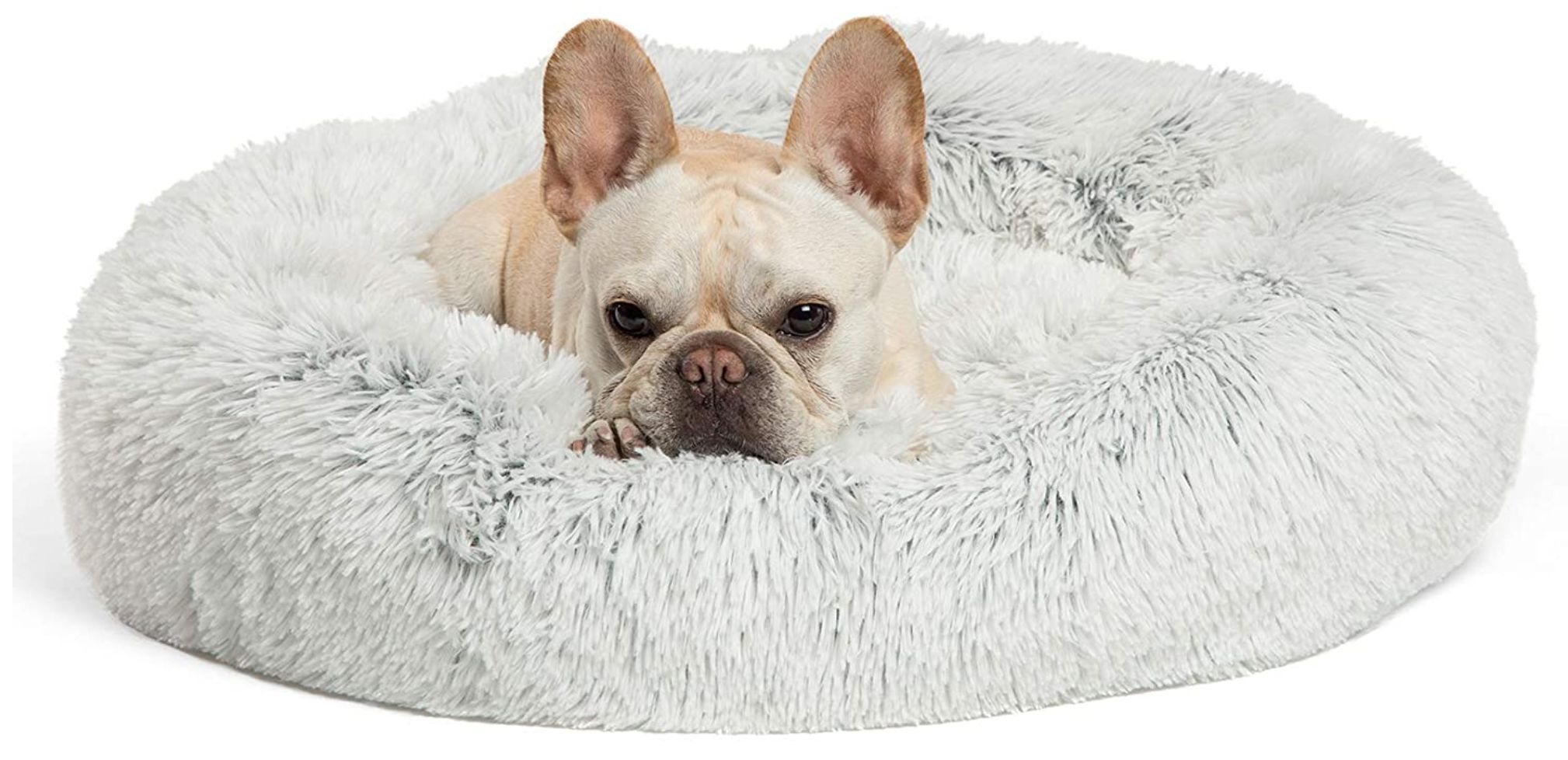 Best Price for Dog Beds