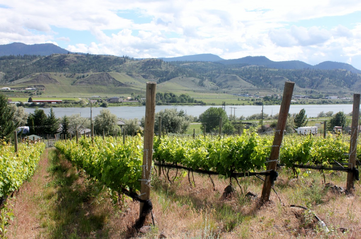 Kamloops Wine Country Vitamin Daily Good Life Vancouver