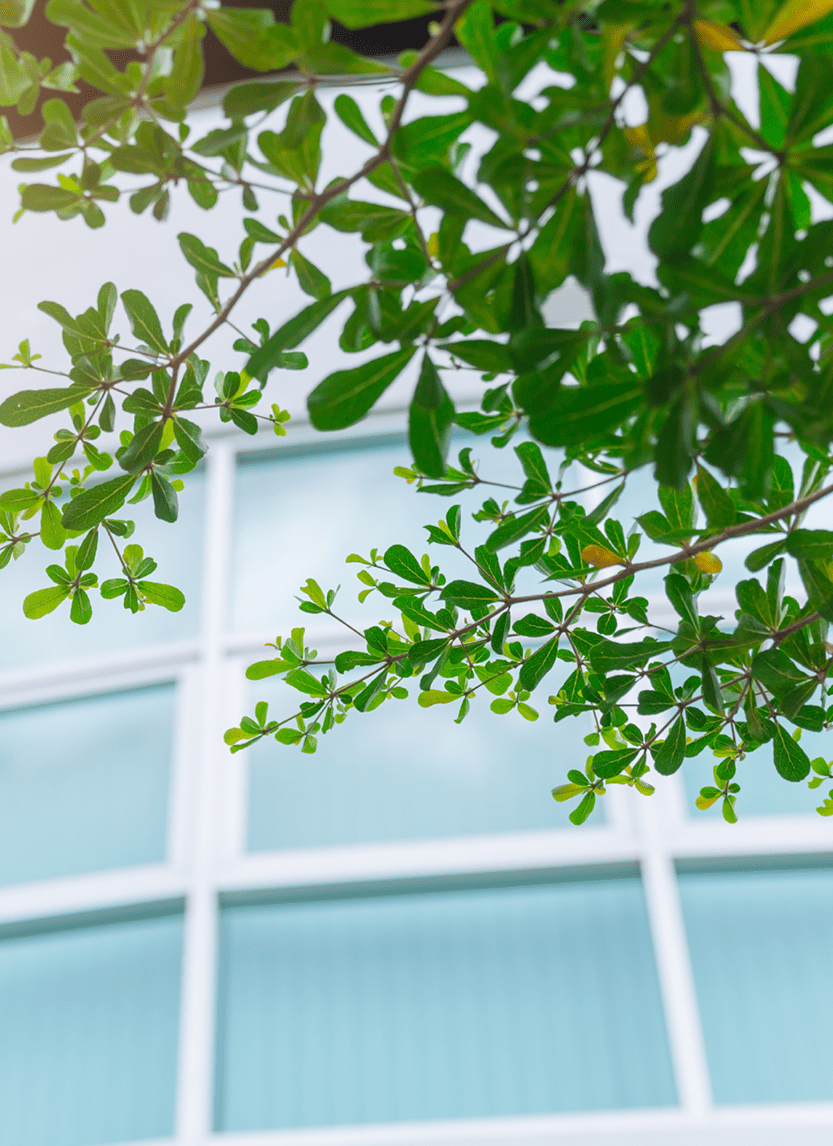 Goodman Realty Group Innovative Development for a Changing World