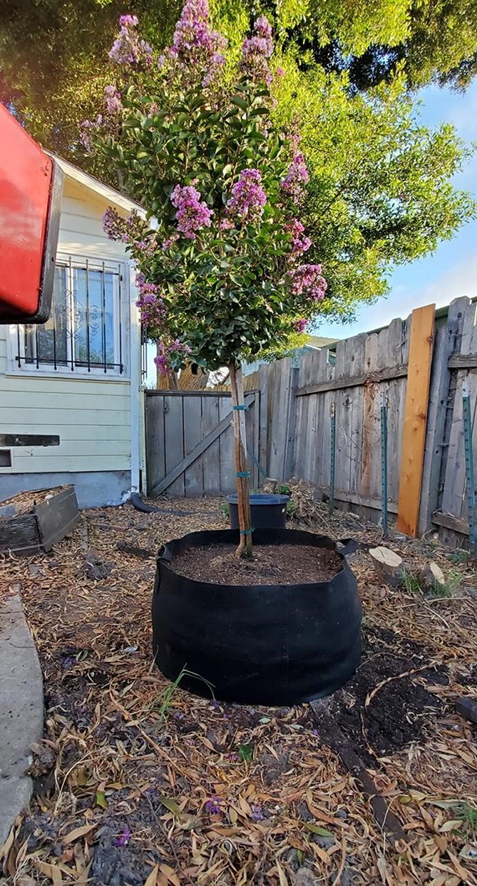 Fabric Grow Bags vs. Plastic Buckets The Good Men Project
