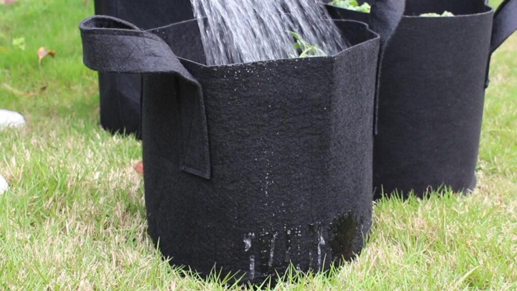 Fabric Grow Bags vs. Plastic Buckets The Good Men Project