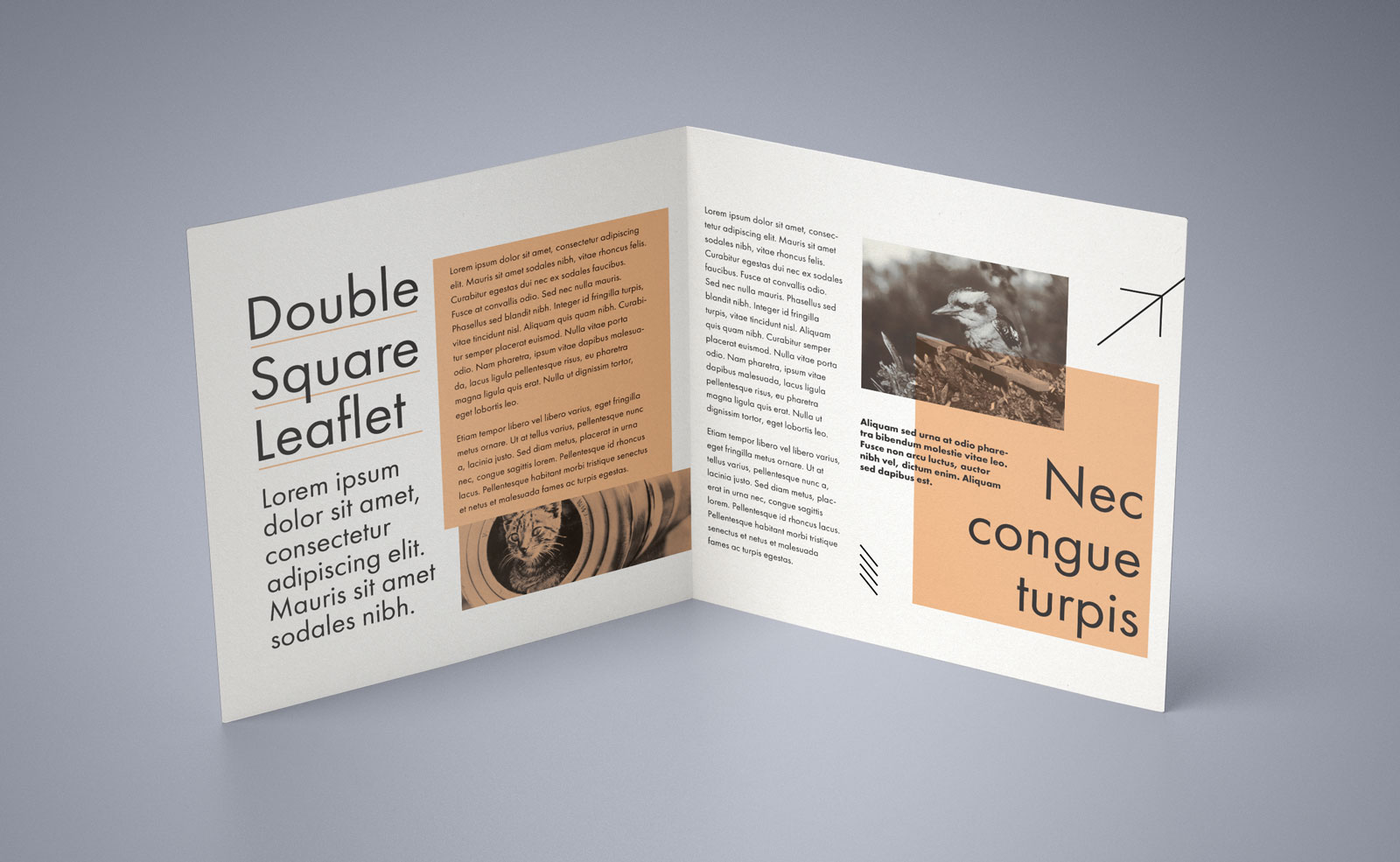 Free Square BiFold Brochure Mockup PSD Good Mockups
