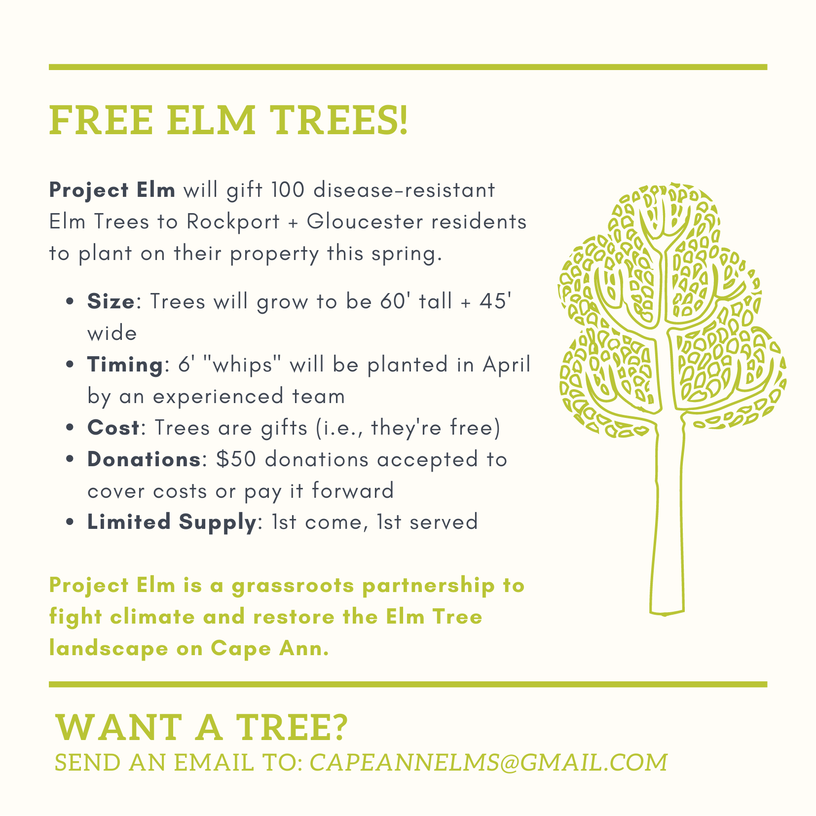 Help Restore the local Elm Landscape and Fight Climate Change Good