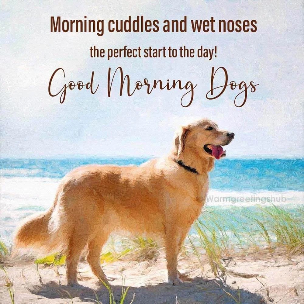 Good Morning with Dogs for a Happy Morning