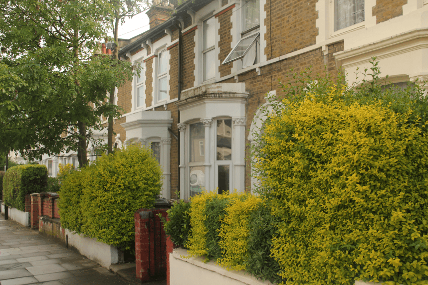 Living in Hackney A Guide to Life in East London