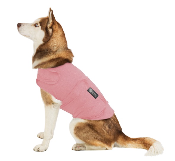 American Kennel Club Calm AntiAnxiety and Stress Relief Coat
