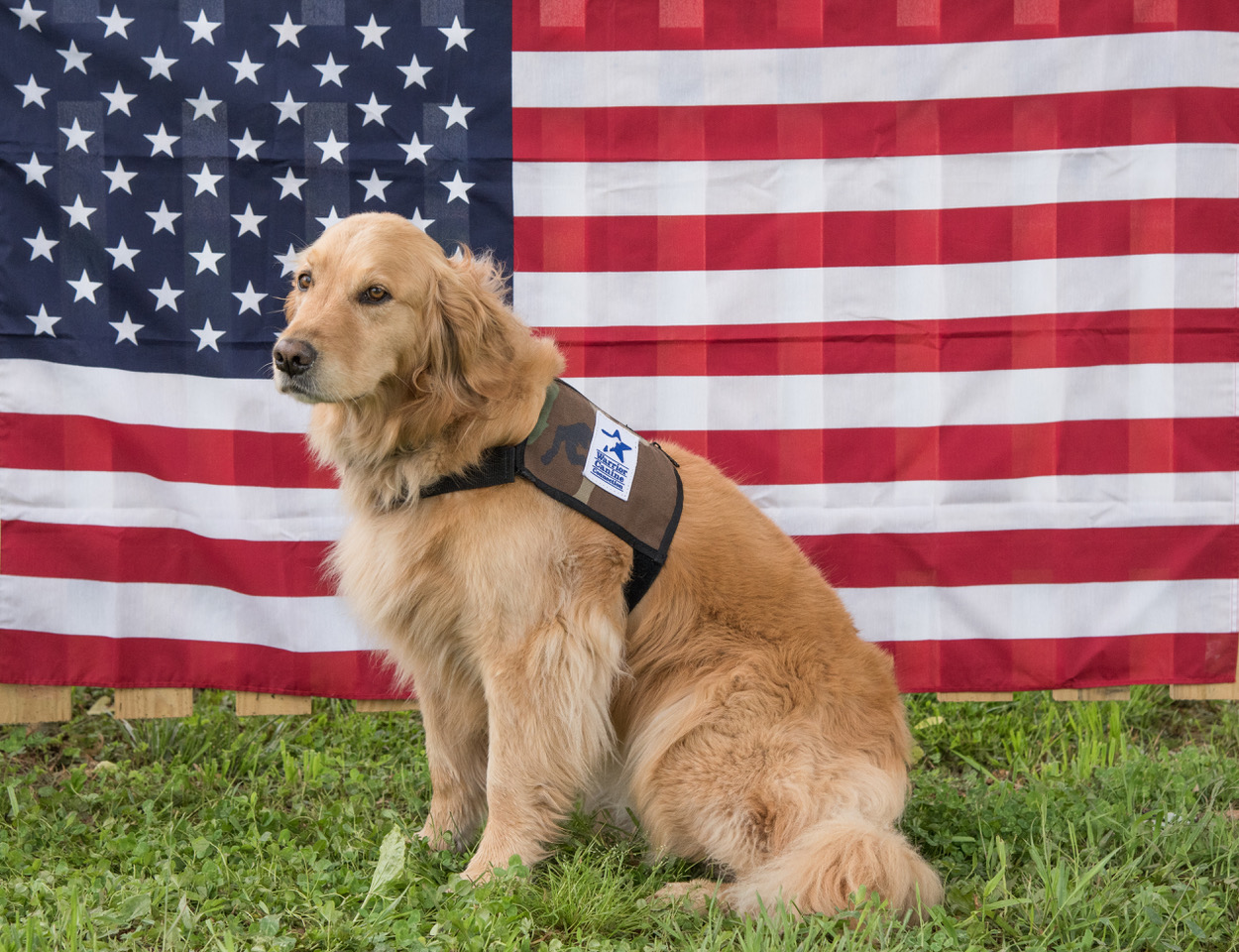 Raising money for Comfort Dogs First Responders Good News!