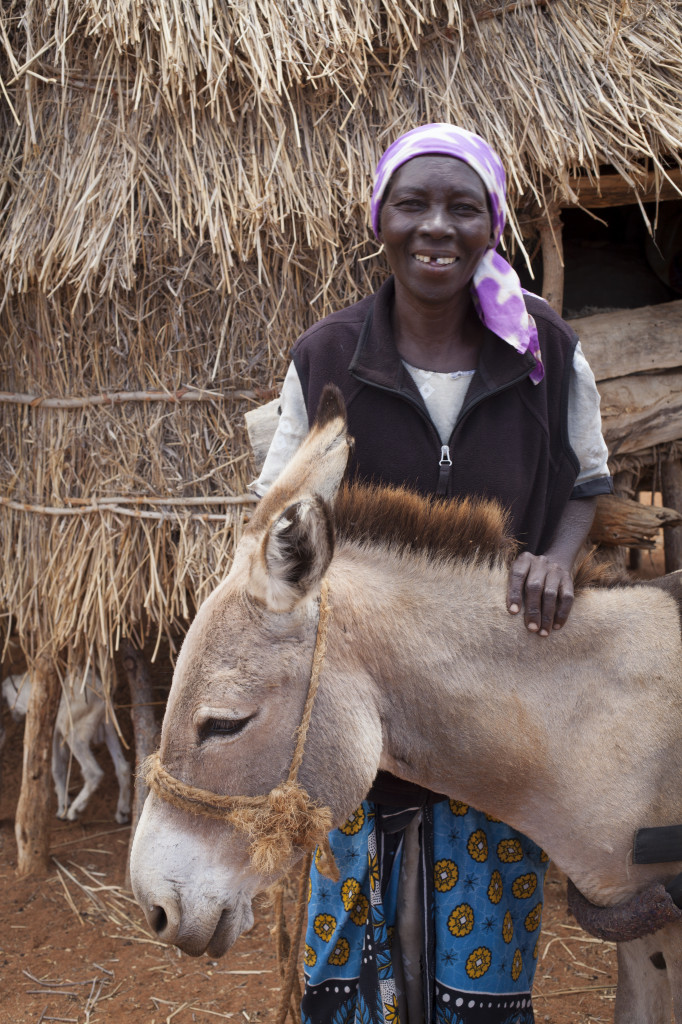 Incredible To See How Donkeys Help Keep People Alive Good News Shared