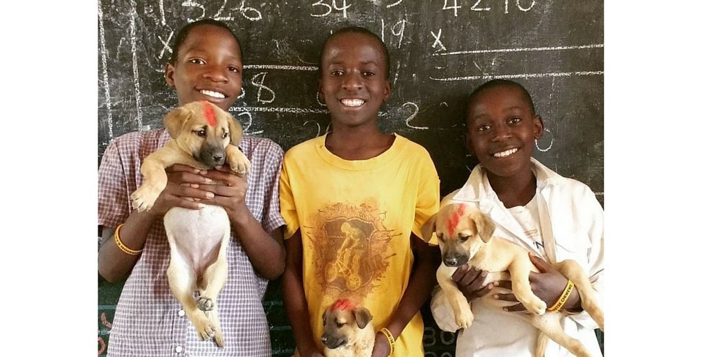 Blantyre Closer to Rabies Free Status thanks to Mission Rabies