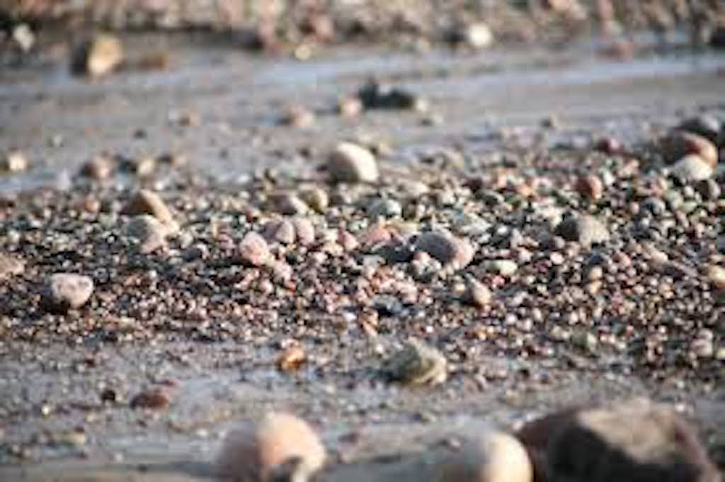 Seeds On Rocky Soil By Ritchie Way Good News Unlimited