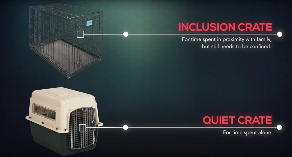Best Dog Crate Reviews Ultimate Buying Guide for2020