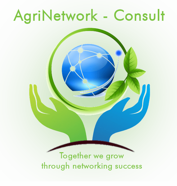 Home Good Rabbit Meat