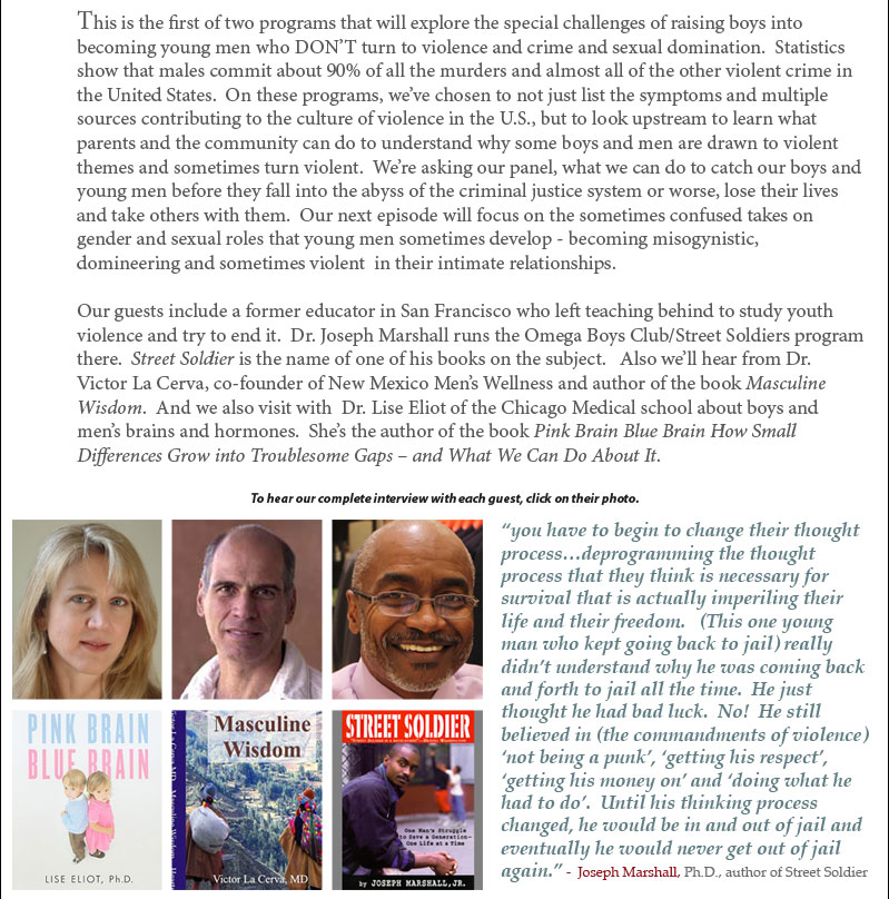 Good Radio Shows 2013 Episodes