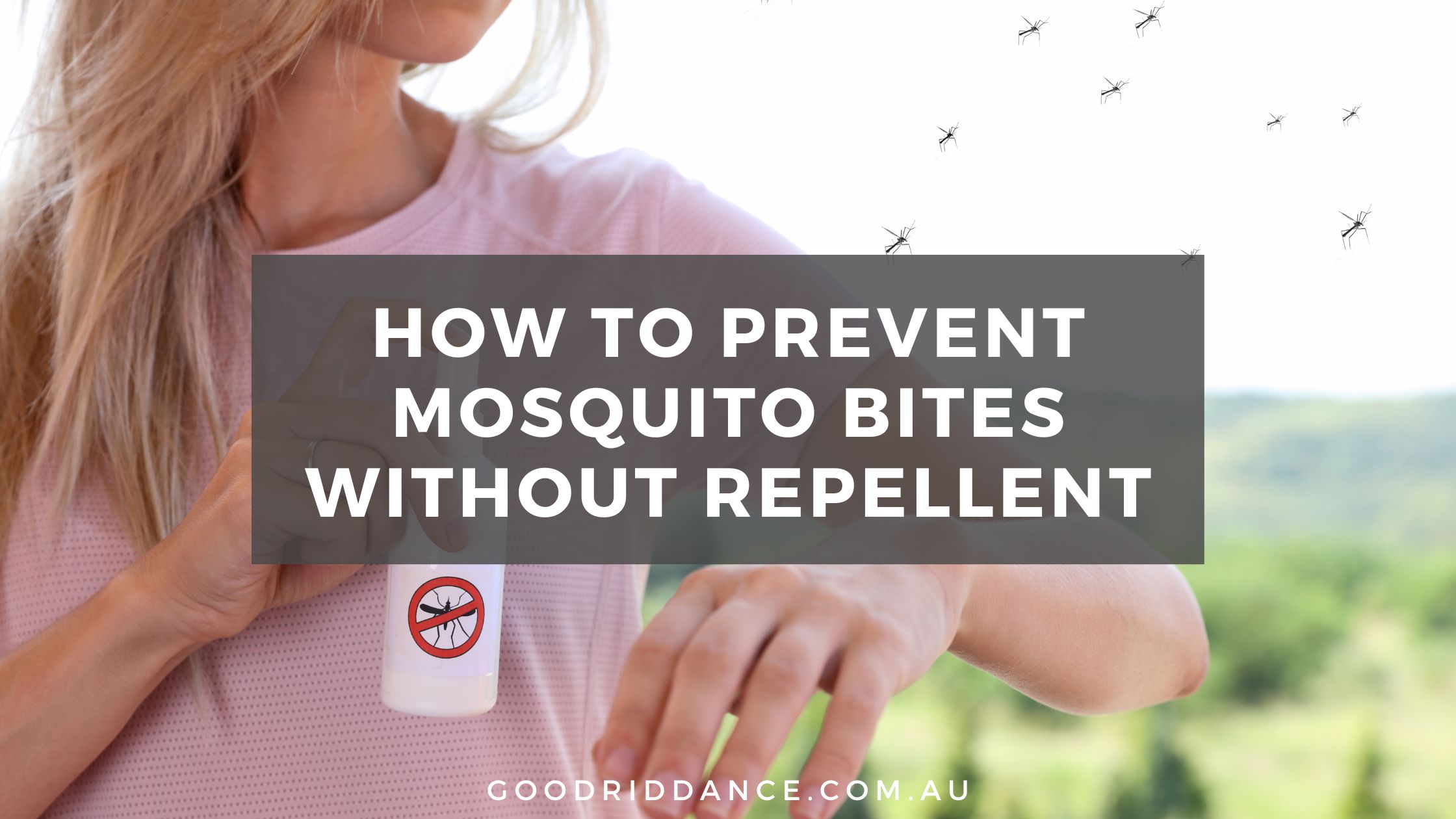 How to prevent mosquito bites without repellent Good Riddance