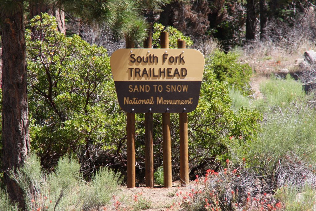 About Good Shepherd Bible Camp