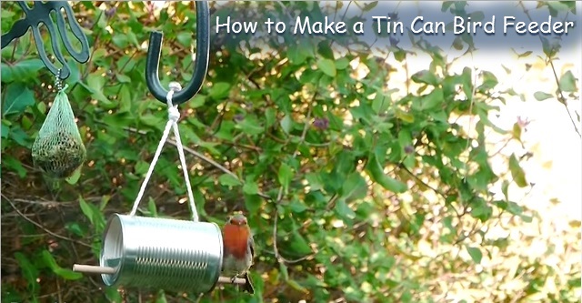 How to Easily Make a Tin Can Bird Feeder | Home Design, Garden