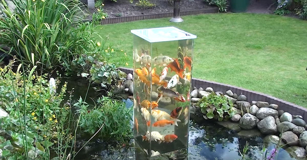 Lookout Glass Tower For a Unique Pond Fish Home Design, Garden