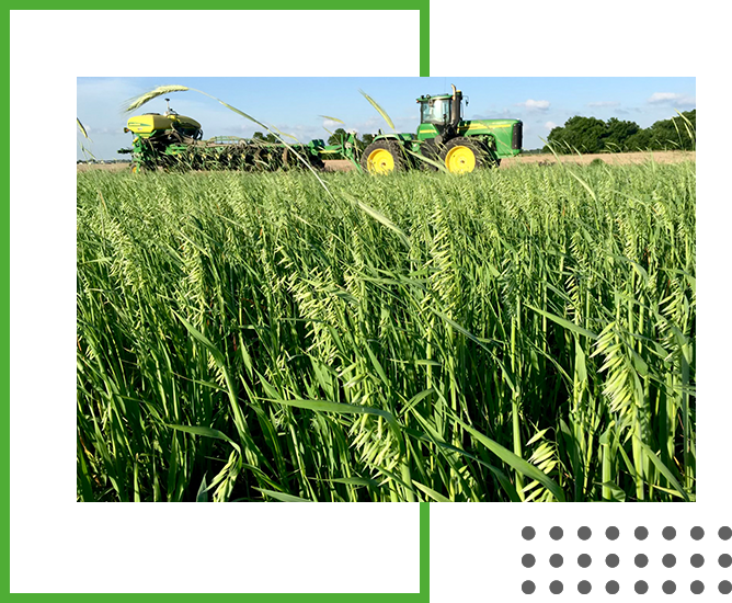 Seasonal Agriculture, Farming, Blackwell, OK Goodson Ranch
