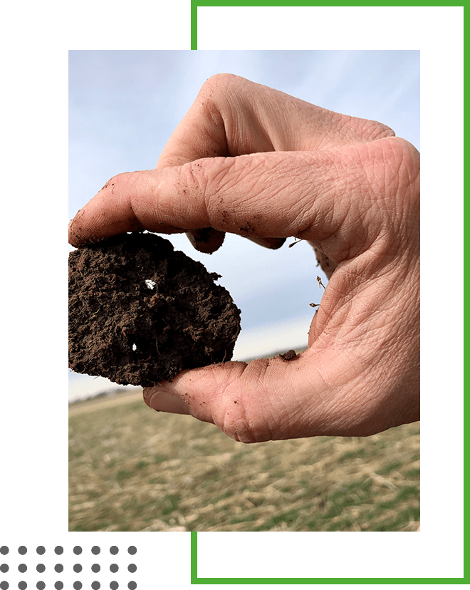 Seasonal Agriculture, Farming, Blackwell, OK Goodson Ranch