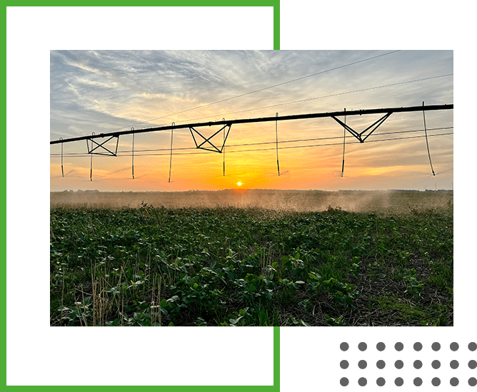 Seasonal Agriculture, Farming, Blackwell, OK Goodson Ranch