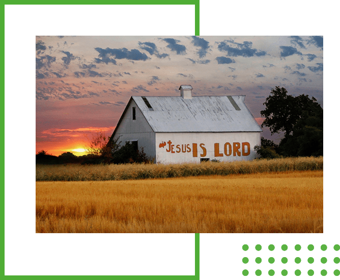 What We Offer Tips and Insights on Farming and Agriculture