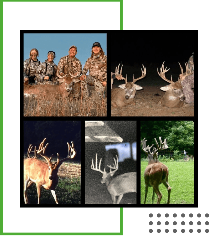 What We Offer Tips and Insights on Farming and Agriculture