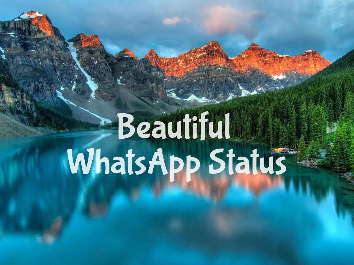 Beautiful WhatsApp Status to Make Your Friends Take Notice!