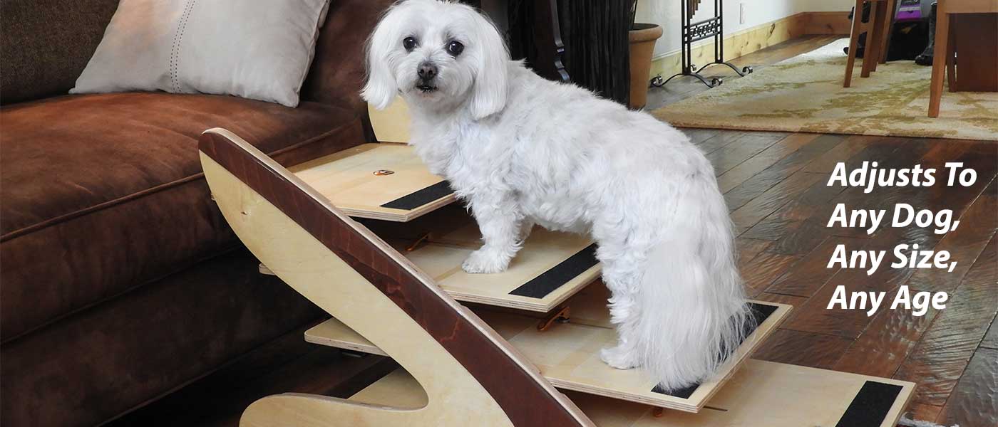 Good Steps Adjustable Dog Steps fit Any Dog