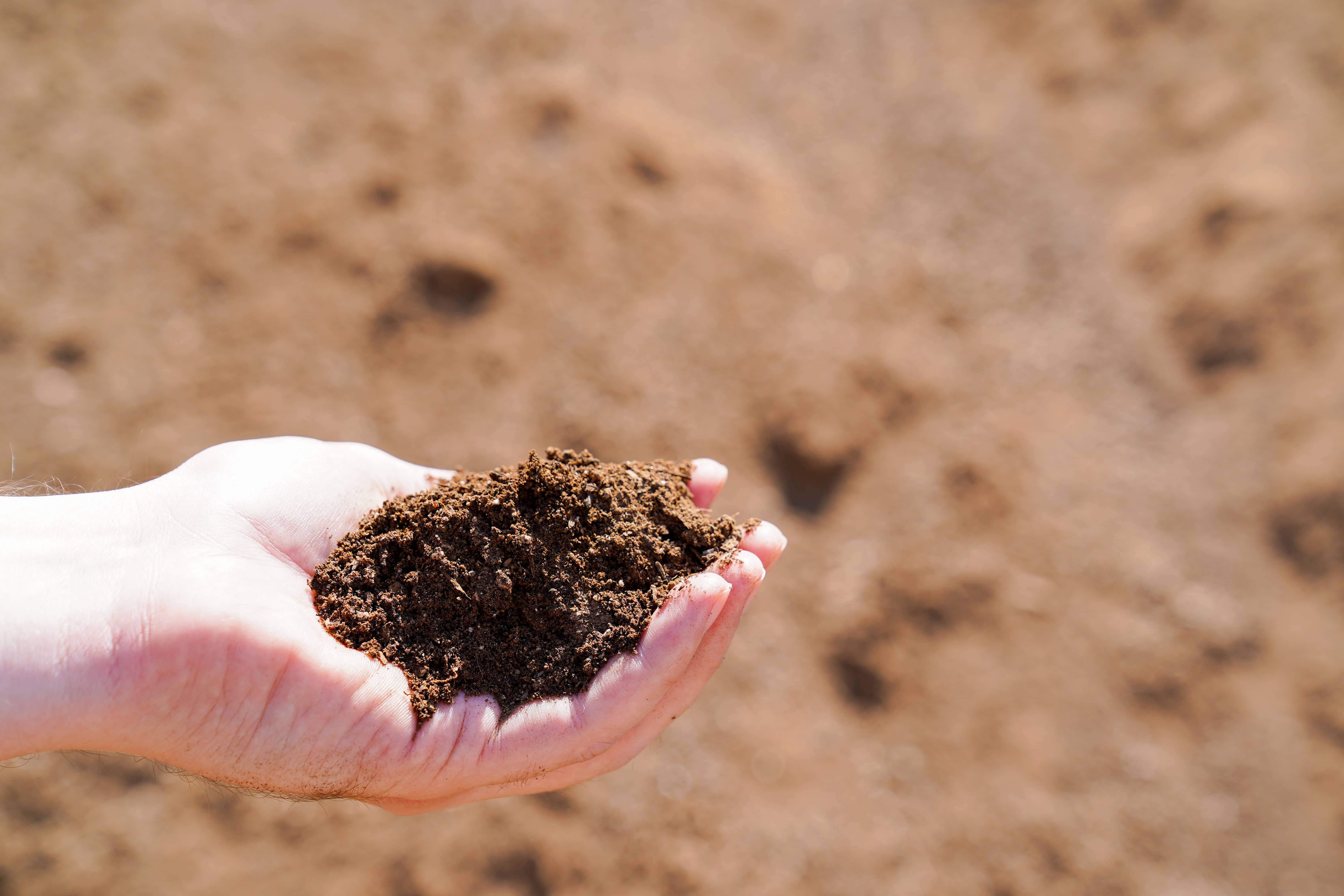 50/50 Soil Blend (1.5 Cu. Ft. Bag) Mr. Good Stuff Soil