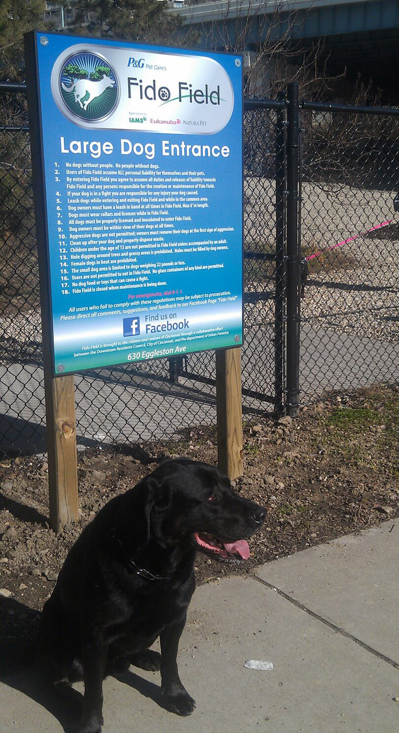 Learn About Downtown Cincinnati’s Dog Park, Fido Field Good Things
