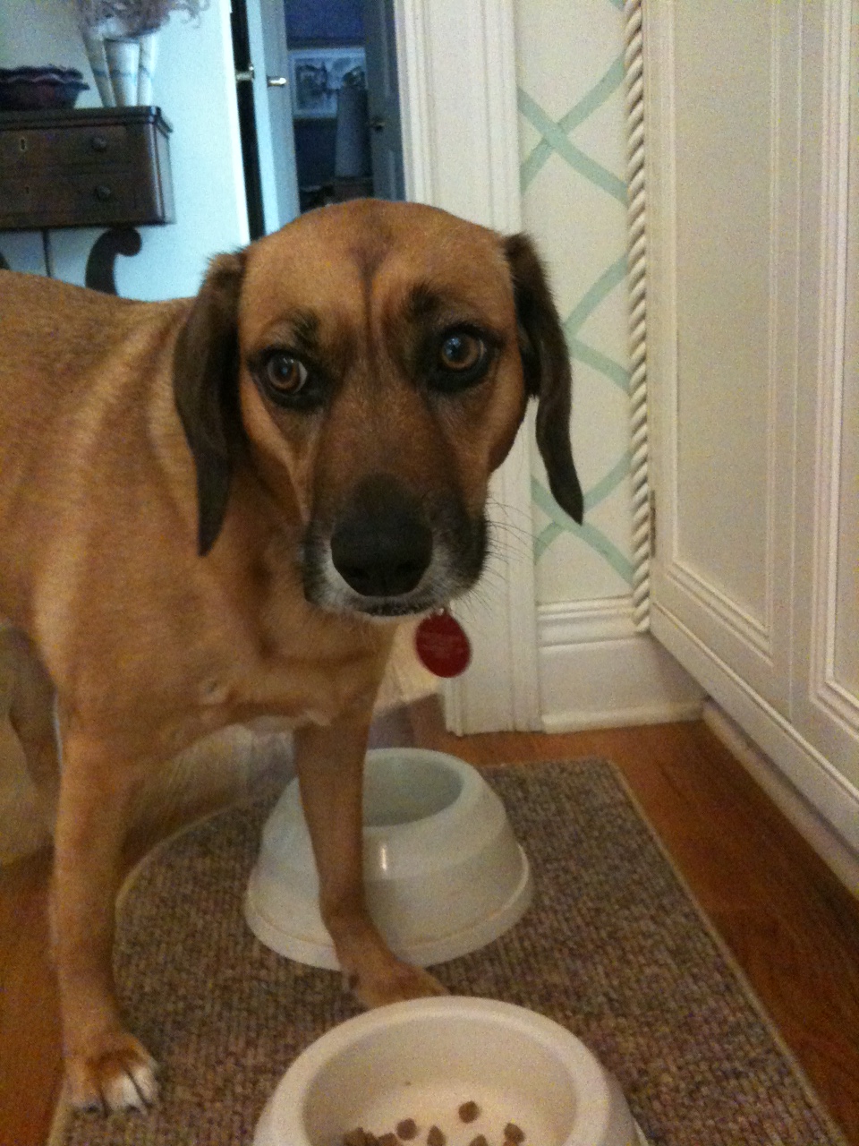 applied behavior analysis Good Things Going Around